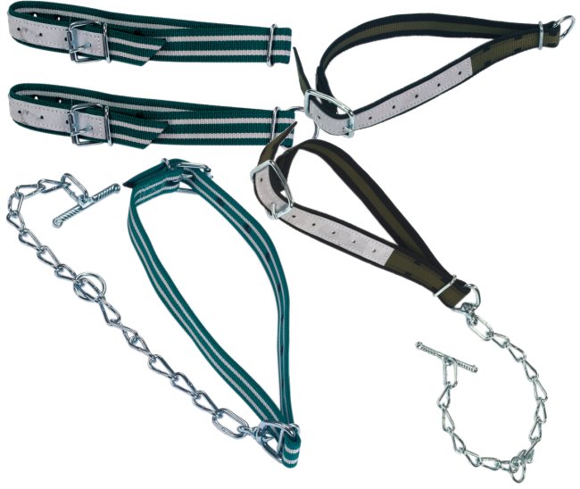 Rinderanbindung Halsband f Rinder Kühe Anbindung Rinderhalsband