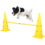 Hunde
