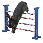 Agility