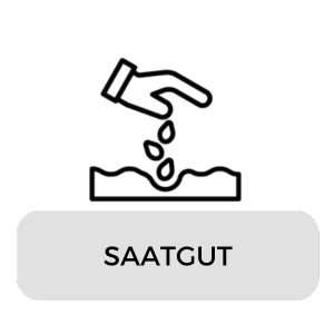 Saatgut