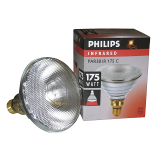 Sparlampe "Philips" 175 W, 240 V, klar