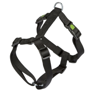 Geschirr MIAMI, schwarz 20 mm, 55 - 76 cm