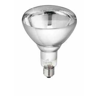 Hartglaslampe "Philips" 250W 240V, klar