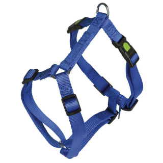 Geschirr MIAMI, blau 20 mm, 55 - 76 cm