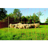 Euro-Netz Extrahoch 120/2 Wildverbiss