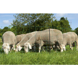 Ovi Net Grün 108cm - 50 Meter Doppelspitz, Schwarze Pfähle