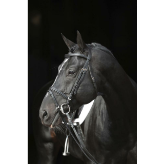 Trensen-Zaum Standard Leder für Pony, schwarz