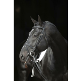 Trensen-Zaum Standard Leder für Pony, schwarz