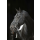 Trensen-Zaum Standard Leder für Pony, schwarz