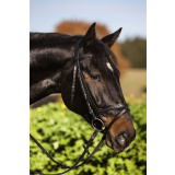 Trensen-Zaum Standard Leder für Vollblut, schwarz