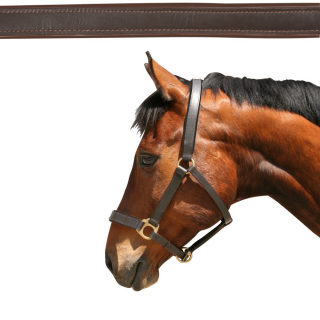 Halfter Eco, Warmblut, Leder braun