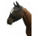 Fliegenmaske Pony mit Ohrenschutz + Nüsternkordel
