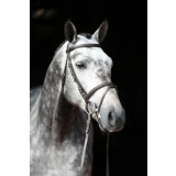 Trensenzaum Standard Leder für Pony, braun
