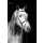 Trensenzaum Standard Leder für Pony, braun