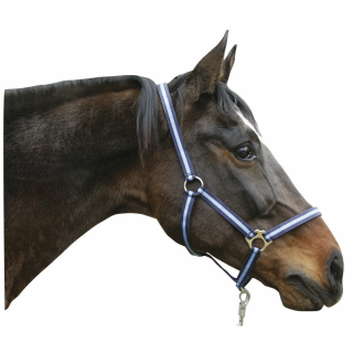 Nylonhalfter Hippo, Gr. 1 marine/hellblau