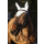 Fliegenhaube Classic weiß, Full