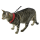 Katzengeschirr Active rot mit Leine 120 cm