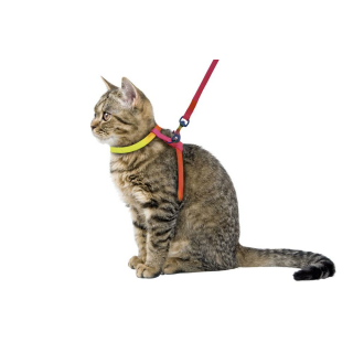 Katzengeschirr RAINBOW 10 mm / 120 cm