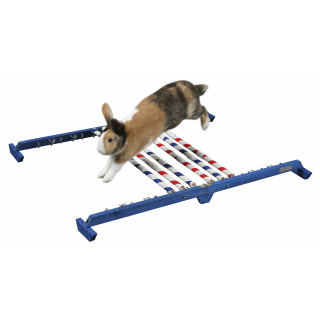 Agility Kombisprung für Nager, Höhe 53 cm