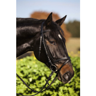 Trensen-Zaum Standard Leder für Shetty, schwarz