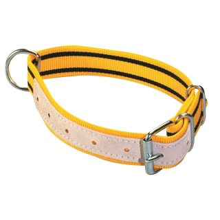 Halsriemen gelb für Schafe, Böcke und Kälber, 4cm x 65cm,  Nylon