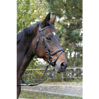 Trensenzaum Classic Leder, schwarz, Vollblut