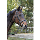 Trensenzaum Classic Leder, schwarz, Warmblut