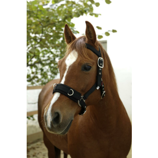 Longierhalfter Kunststoff schwarz, WB