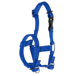 Alpaka-Halfter verstellbar, blau, 20mm PP