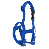 Alpaka-Halfter verstellbar, blau, 20mm PP