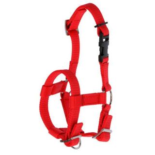 Alpaka-Halfter verstellbar, rot; 20mm PP