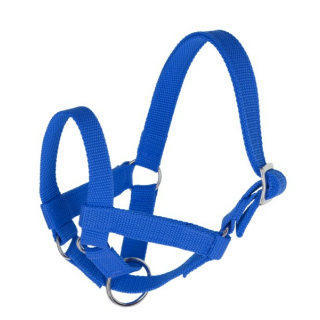 Halfter für Lamas  Größe 60, blau