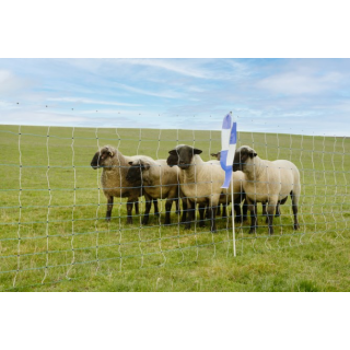 OviNet Maxi, weiß/blau, 50m, 122cm, Einzelspitze
