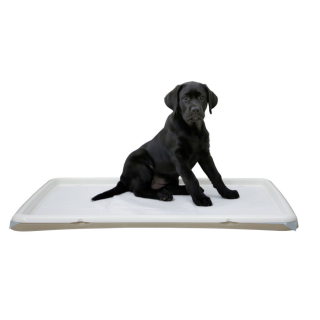 Welpentoilette XL, 60x90cm