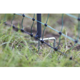Geflügelnetz Premium elektrifizierbar, grün 50m, 122cm, Einzelspitze