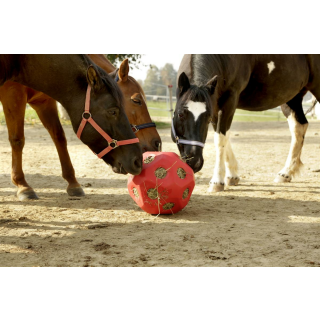 HeuBoy - Futterspielball für Pferde, Ø 40cm, rot