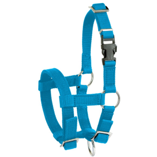 Alpaka-Halfter verstellbar, blau, 20mm PP