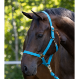 Nylonhalfter Hippo, Full blau