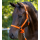 Nylonhalfter Hippo, Pony orange