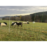 Euro-Netz Kombi 50m x 150cm / blau/weiß, Doppelspitze