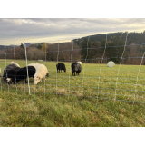 Euro-Netz Kombi 50m x 130cm / blau/weiß, Doppelspitze