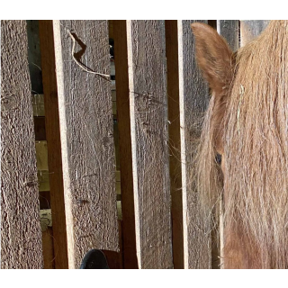 Eck-Heuspender M ca. 115 Liter