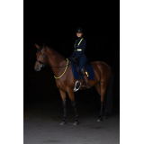 Halsring LED, Umfang max. 150cm