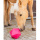 Leckerli- und Beschäftigungsball 25cm, pink